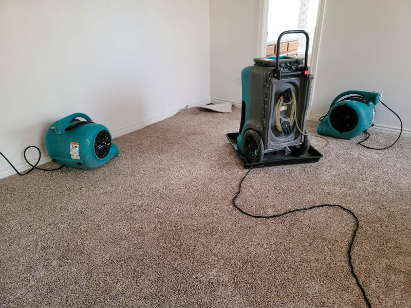 Odor Removal in a Living Space